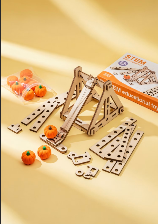 קטגוריה 1